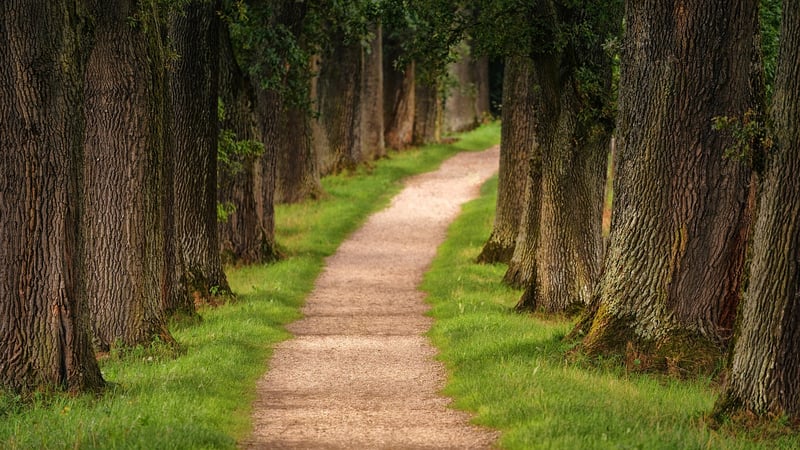 Appalachian Trail